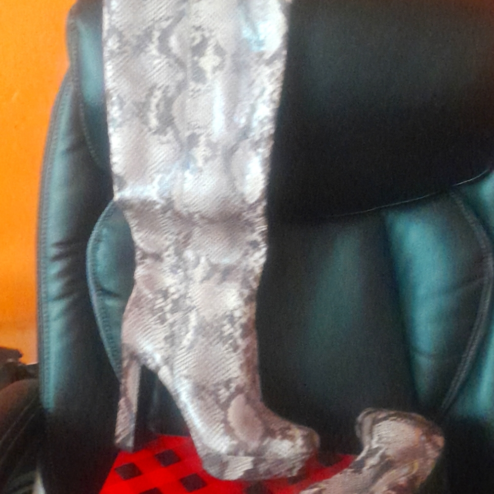 Snake skin high heel boots 2/3 inches high brand new never worn ~size 7